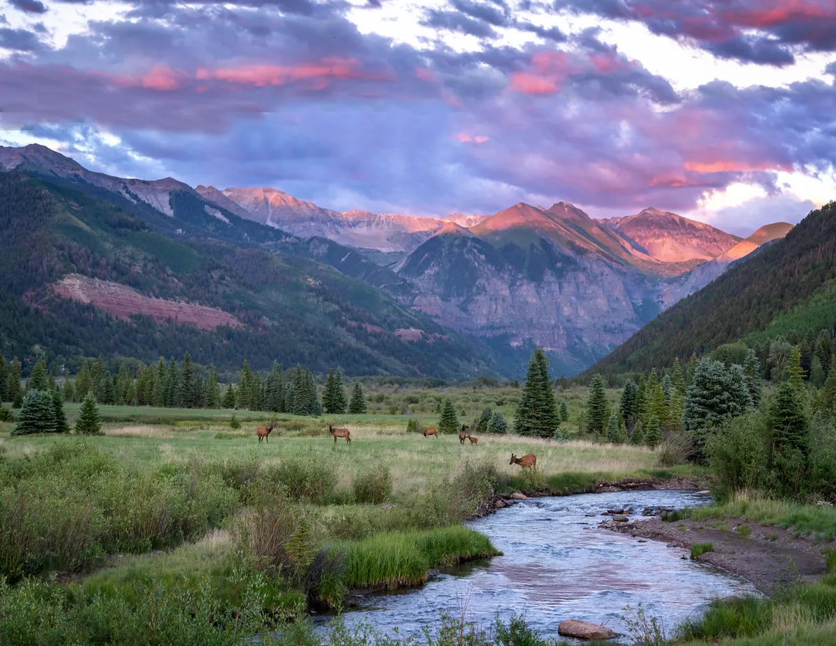 A scenic view of mountain peaks at sunset, with a meandering stream in the foreground and elk grazing nearby. The sky is painted in vibrant colors, adding to the serene atmosphere, and the scene captures moments of peaceful observation and riverside picnics.